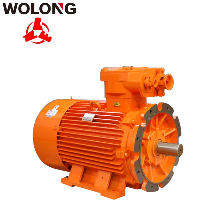 Wolong pump